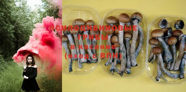 MDMA Premium VHQ Беломорск