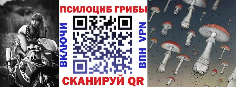 Псилоцибиновые грибы Psilocybine cubensis  как найти наркотики  Чухлома 